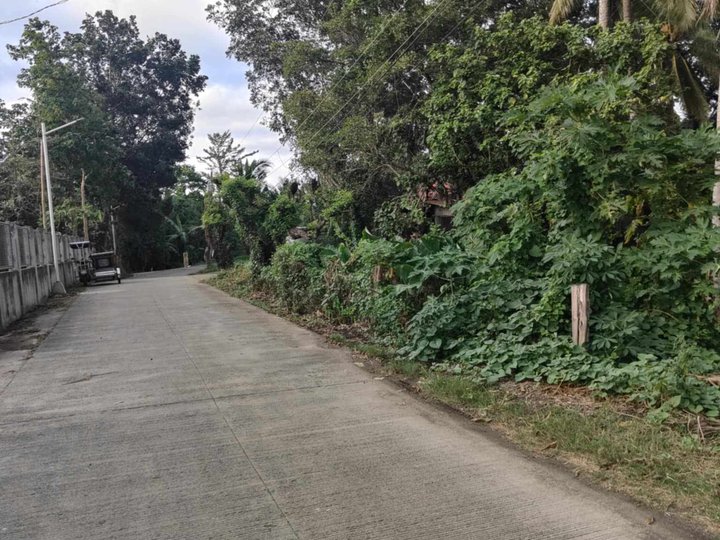 200 sqm Residential Farm For Sale in Rosario Batangas