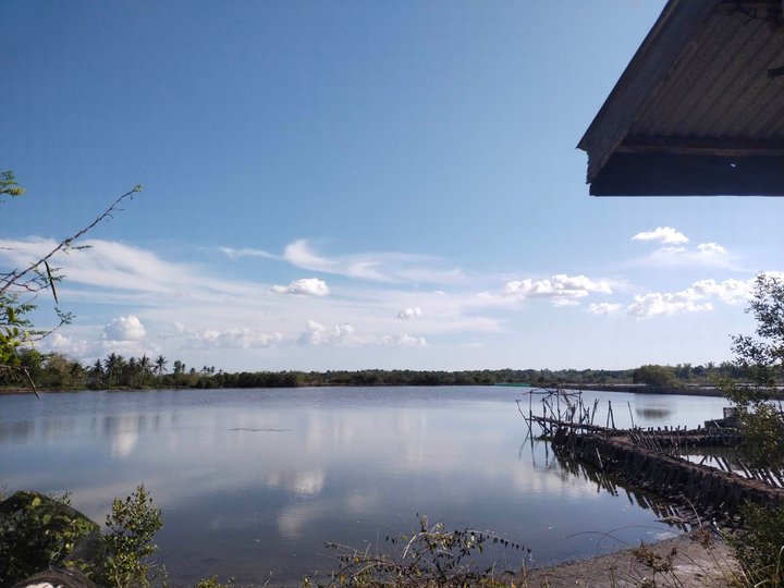 180000 sqm  fiish pond  For Sale in Anda Pangasinan