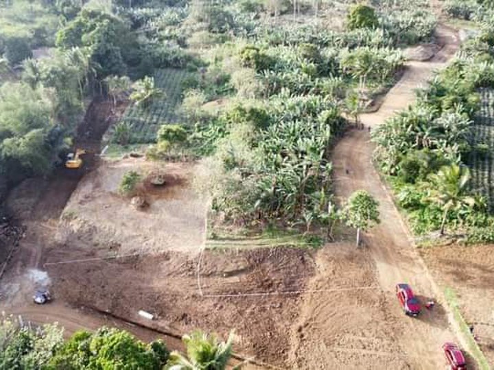 250 sqm Residential Farm For Sale in Alfonso Cavite