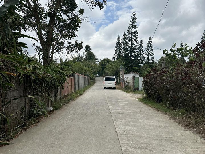 250 sqm Residential Lot For Sale in Tagaytay Cavite