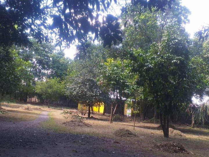 Residential Farm with fruit bearing trees