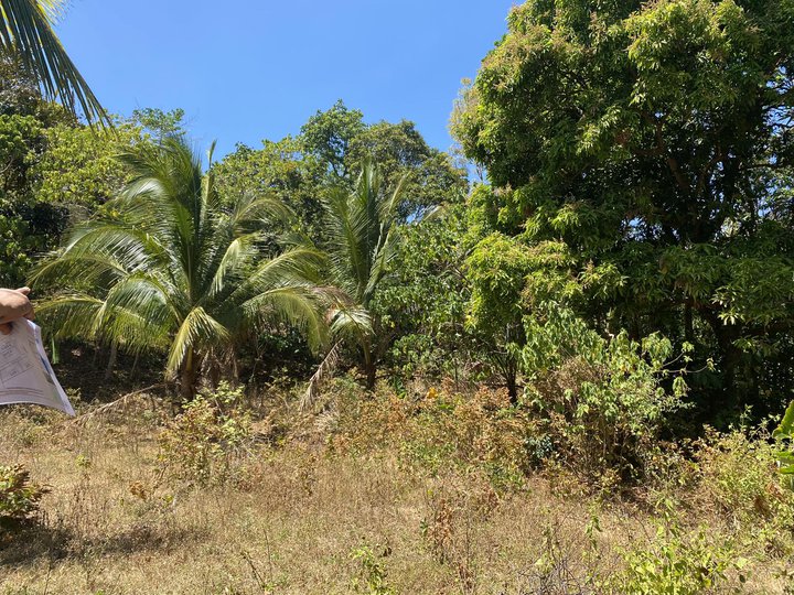 Residential Farm Lot For Sale in Nasugbu Batangas