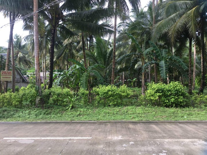 1,000 sqm Corner Lot For Sale Pacifico Siargao