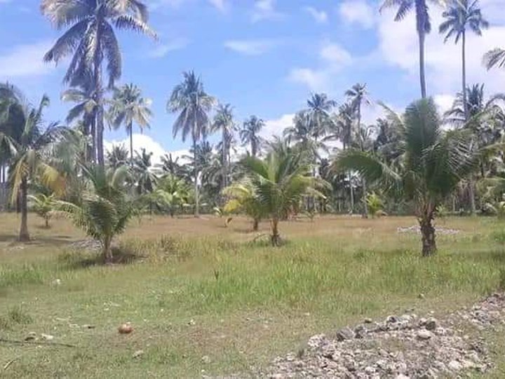 Lot for sale overlooking sea view in argao cebu ,pm for more details