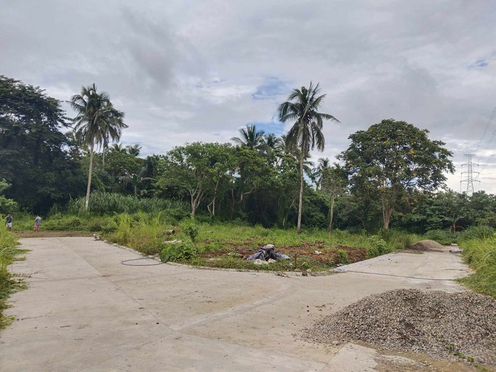 Cold Climate Residential Farm Lot in Mendez