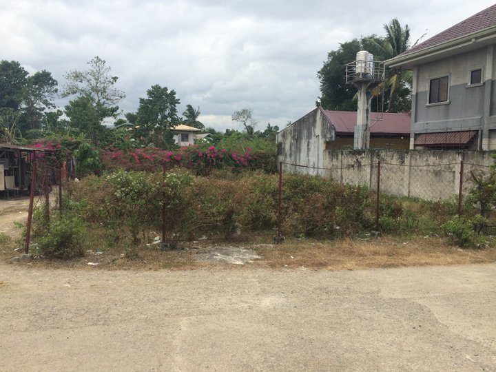 364 sqm Residential Lot For Sale in Mactan Lapu Lapu Cebu