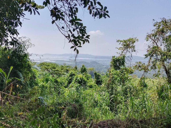 FARM LOT IN TANAY RIZAL [Lot 🚜] (January 2024) in Tanay, Rizal for sale