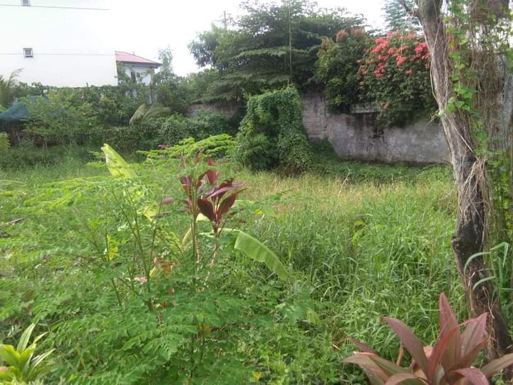 Residential Lot at Taytay near c6 Taytay Tiangge Greenwoods for sale