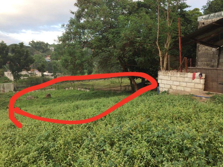 Residential lot for sale in Binangonan Rizal [Lot 🚜] (August 2021) in