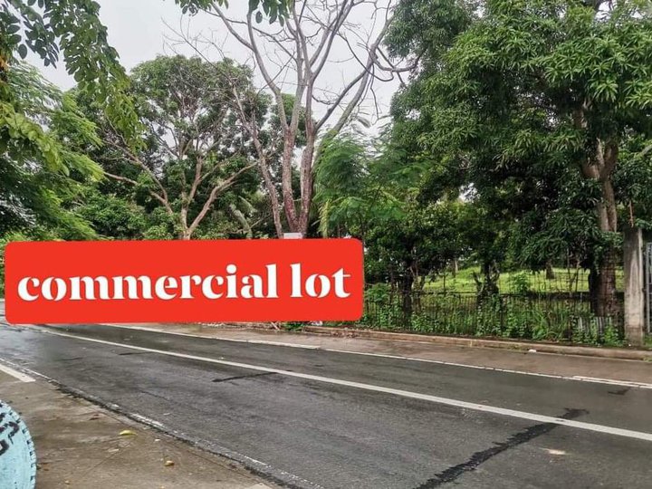 Affordable Commercial lots for sale