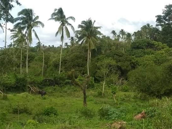 Farm lot for sale very near Tagaytay [Lot 🚜] (July 2022) in Alfonso