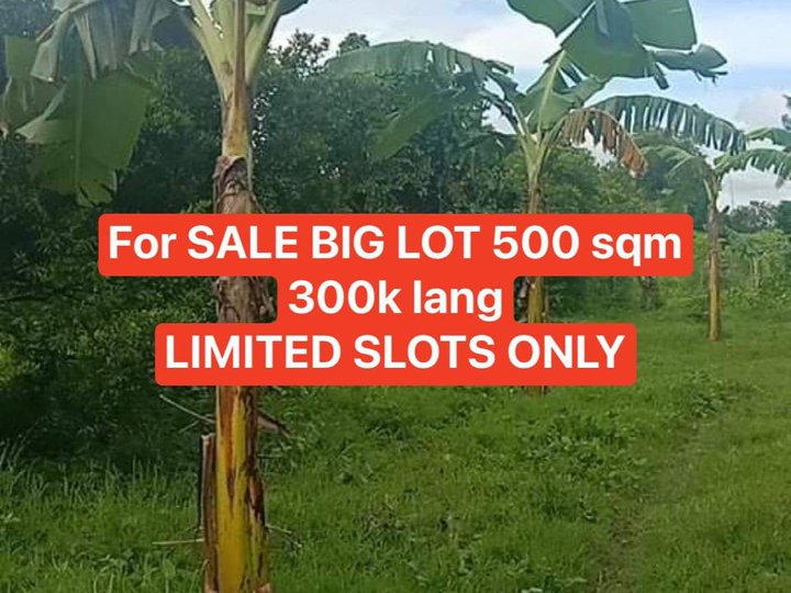 Murang farm lot sa halagang 300k. Titled flat land @ Tiaong Quezon