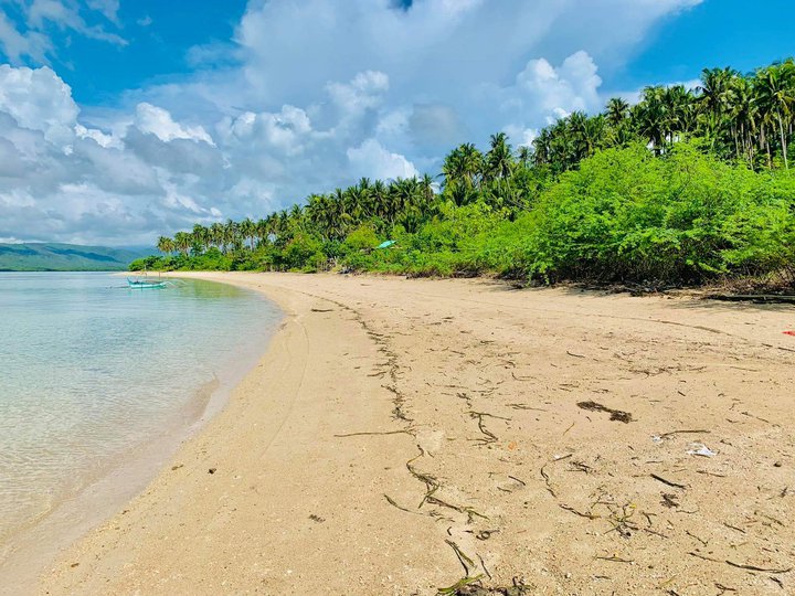 4Hectares Beachfront Property For Sale in San Narciso Quezon [Beach