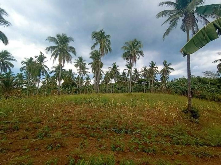 Residential FarmLot For Sale In Magallanes