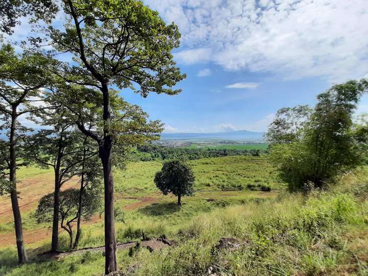 FARM LOTS FOR SALE IN MORONG RIZAL WITH MOUNTAIN VIEW