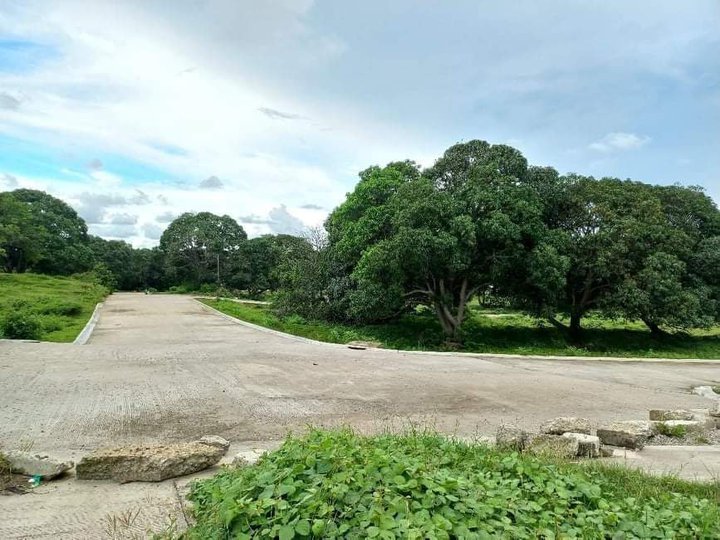 Affordable Preselling Residential Lot in Calatagan