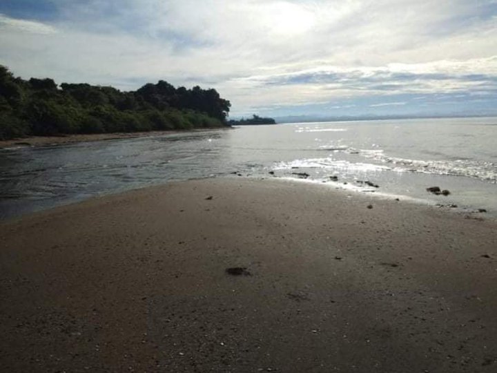 BEACH FRONT LOT IN DASOL PANGASINAN [Beach Property 🏖️] (July 2021) in Dasol, Pangasinan for