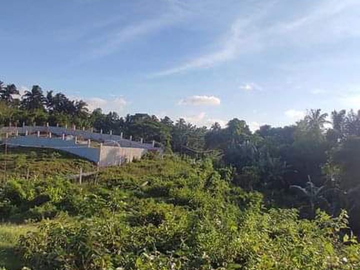 Overlooking Lot For Sale with Spring River Alfonso Cavite