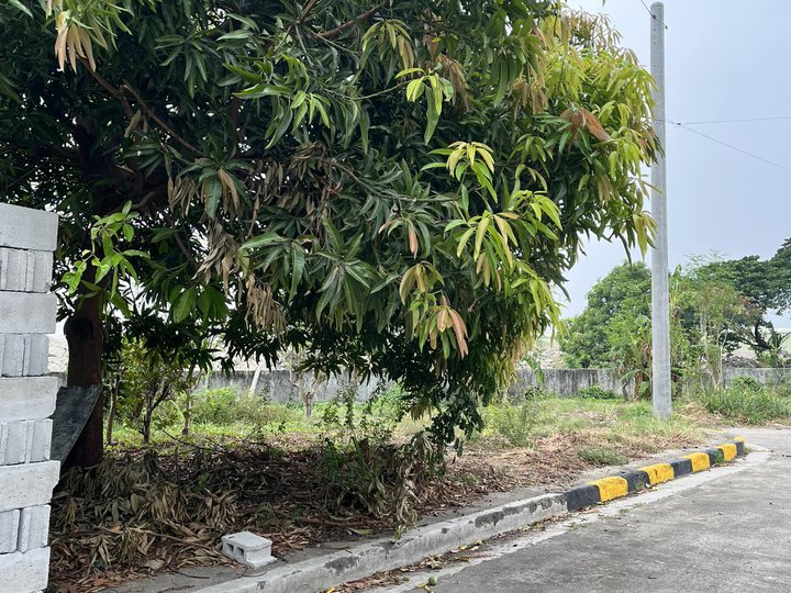 195 sqm Residential Lot For Sale By Owner in Taytay Rizal