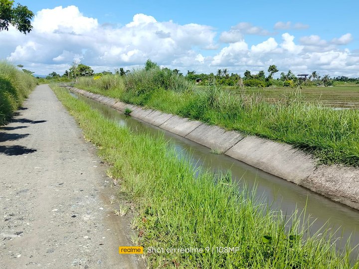 2 hectares irrigated ricefield clean title at Ubay Bohol 150/sqm nego