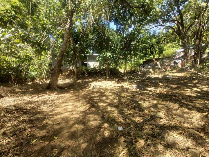 Spacious Foreclosed residential lot for sale in Olongapo Zambales