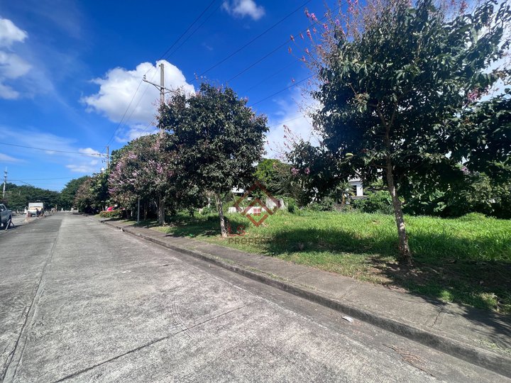 FOR RENT Commercial Lots in Governor's Drive Carmona Cavite Near Waltermart - RM25