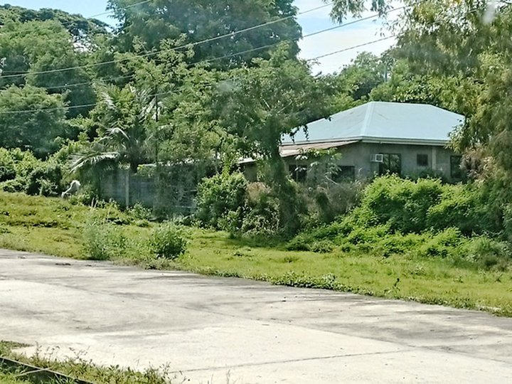 vacant lots in a subdivision in Alaminos City