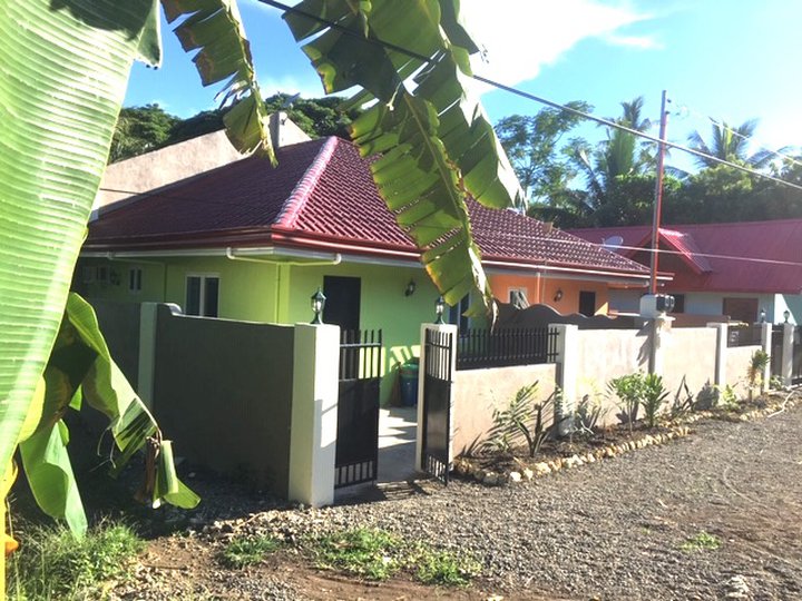 INVESTMENT OPPORTUNITY, 3 RENTAL HOUSES 4 SALE, Nr MOMO BEACH, PANGLAO