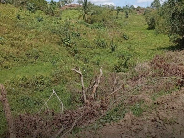 Rodriguez Montalban 110 Hectares for Sale in Rizal