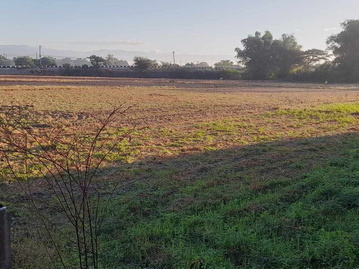 Prime Industrial-Commercial Land for Sale in Rosales, Pangasinan