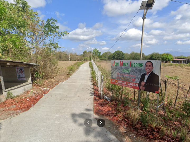 2.28 hectares Raw Land For Rent in Rosario Batangas