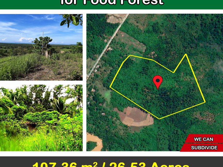 107,366 m2 / 26.53 Acres Large Parcel of Land for Food Forest