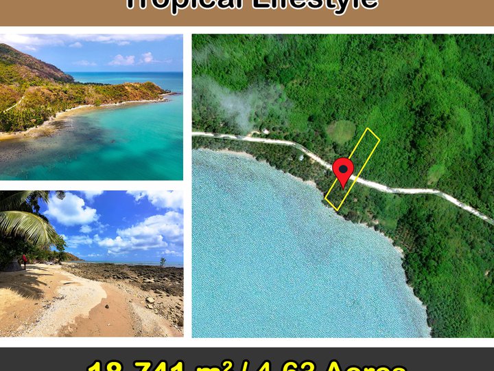 18,741 m2/4.63 Acres Sunrise Seafront for Tropical Lifestyle in Roxas