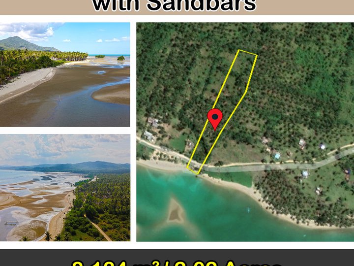 Tropical White Beach with Sandbars Ready For Occupancy 8.18 hectares Beach Property For Sale