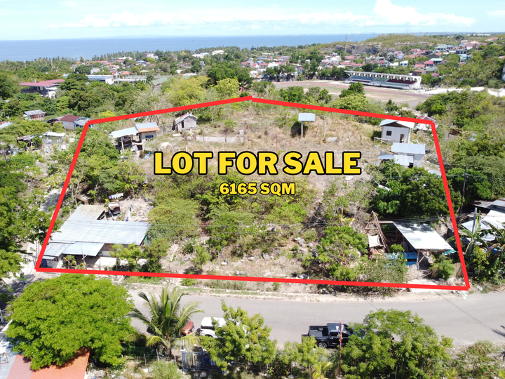 6,165 sqm Residential Lot For Sale in Danao City, Cebu