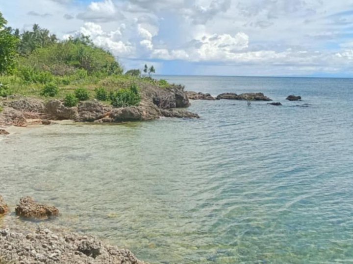 Discounted for Retirement Beach Property For Sale-Installment in San Remigio Cebu