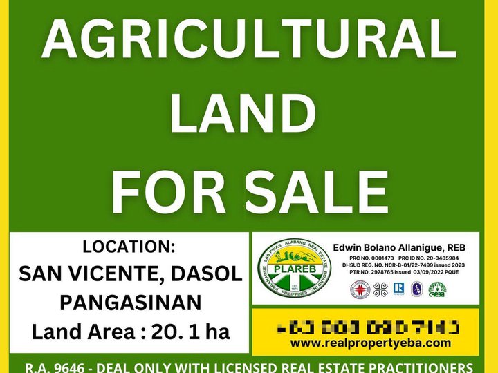 20.2 hectares agricultural farm for sale in San Vicente, Dasol Pangasinan