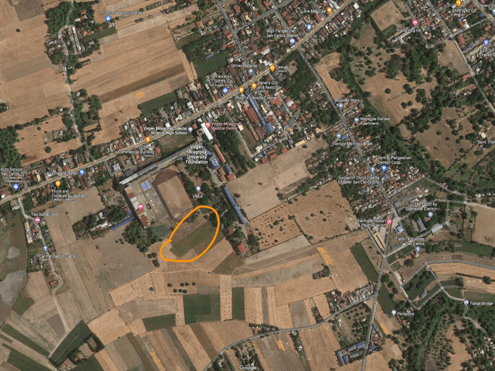 Affordable agricultural lot for sale in Pangasinan [Lot 🚜] (August 2021