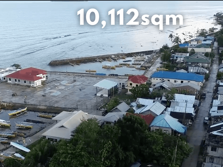 Beachfront & Roadfront Lot For Sale 1 Hectare in San Benito, Siargao (Titled)