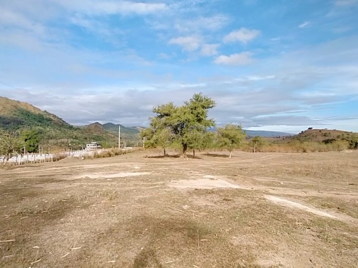 34hectares Raw Land For Sale in San Jose Tarlac