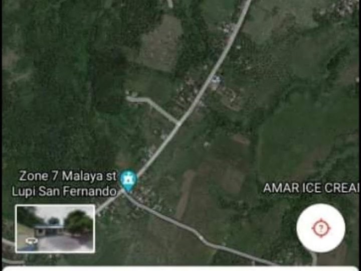 13 Hectares Raw Land Located In Brgy Lupi San Fernando Camarines Sur ...