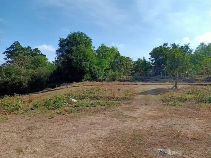 Residential Lot only for Sale in San Fernando La Union Diversion Road