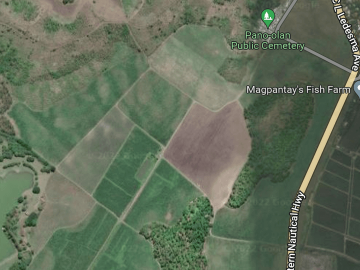 390 HECTARES LOT FOR SALE IN SAN CARLOS CITY, NEGROS OCCIDENTAL