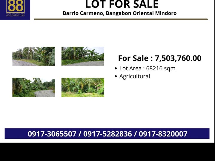 6 hectare agricultural farm with fruit bearing for sale