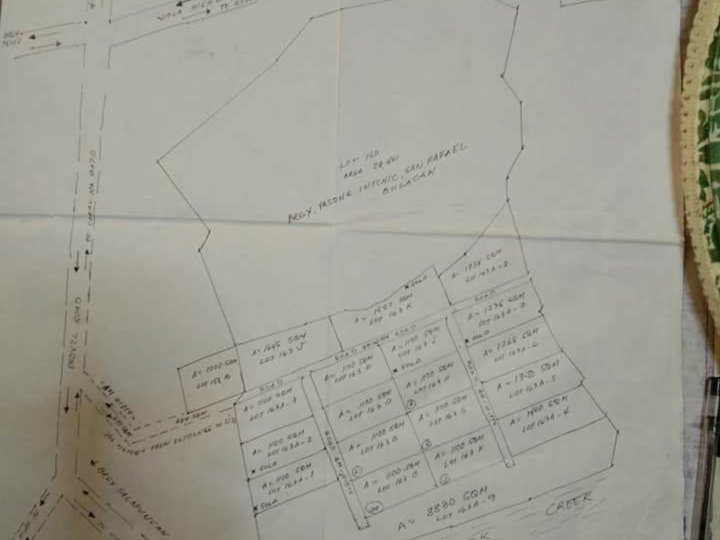 SUBDIVIDED RESIDENCIAL/ FARM LOT WITH 3 HECTARES ADJACENT LOT