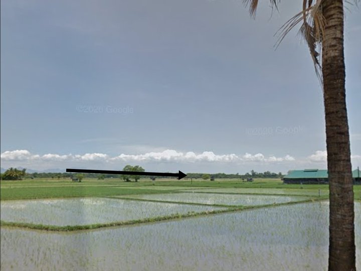Agricultural Farm For Sale in Samal Bataan
