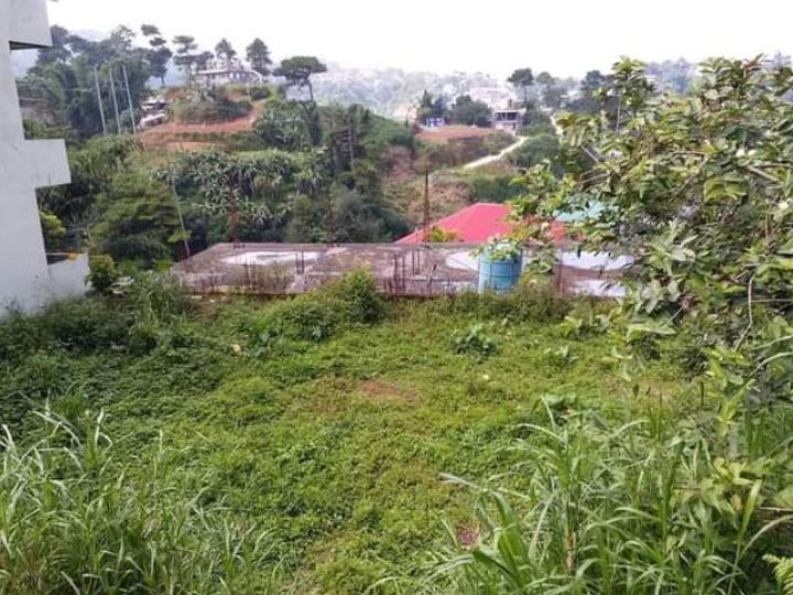 263 sqm Residential Lot For Sale in Baguio City Economic Zone Baguio