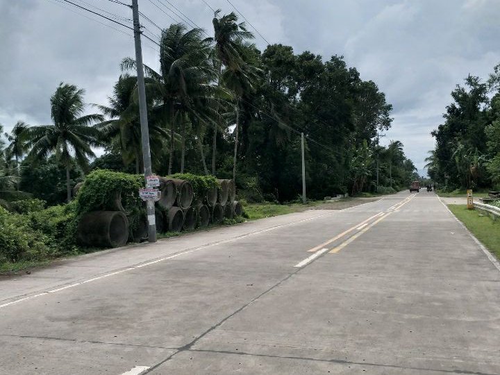 Commercial lot for sale 1591sqm in Bacong Negros Oriental