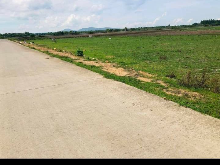 23000 sqm Residential Farm For Sale in Nasugbu Batangas