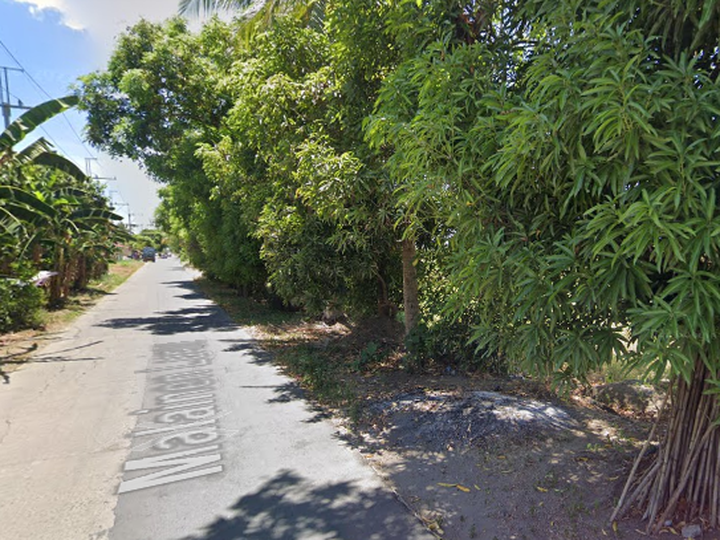 381 sqm Residential Lot For Sale in Naic Cavite